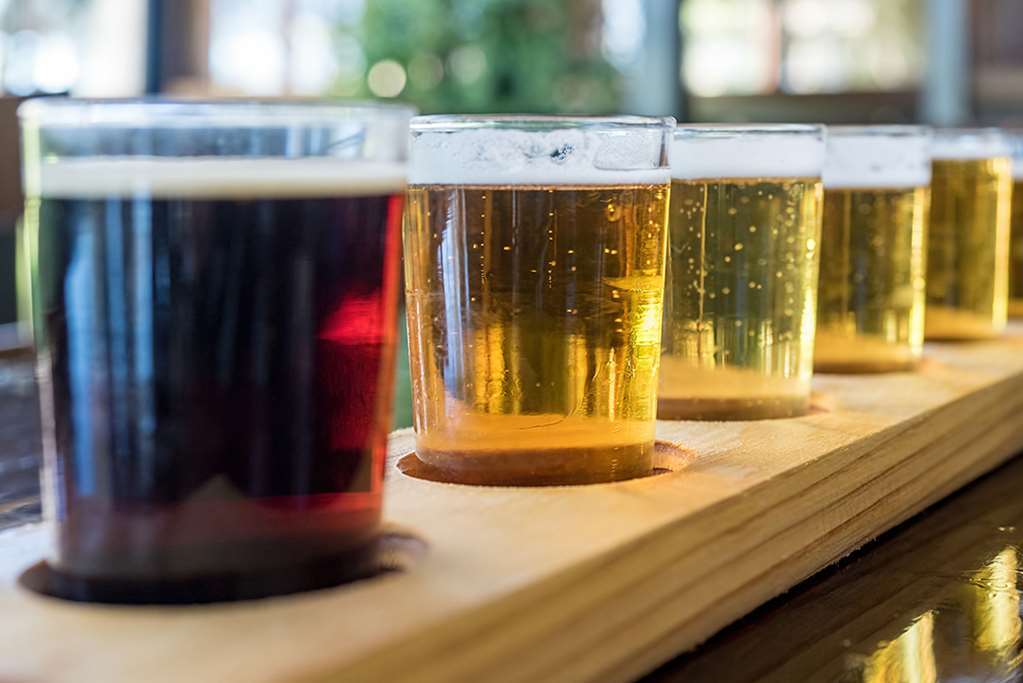 索诺玛酒乡坎布里亚酒店 罗内特公园 餐厅 照片